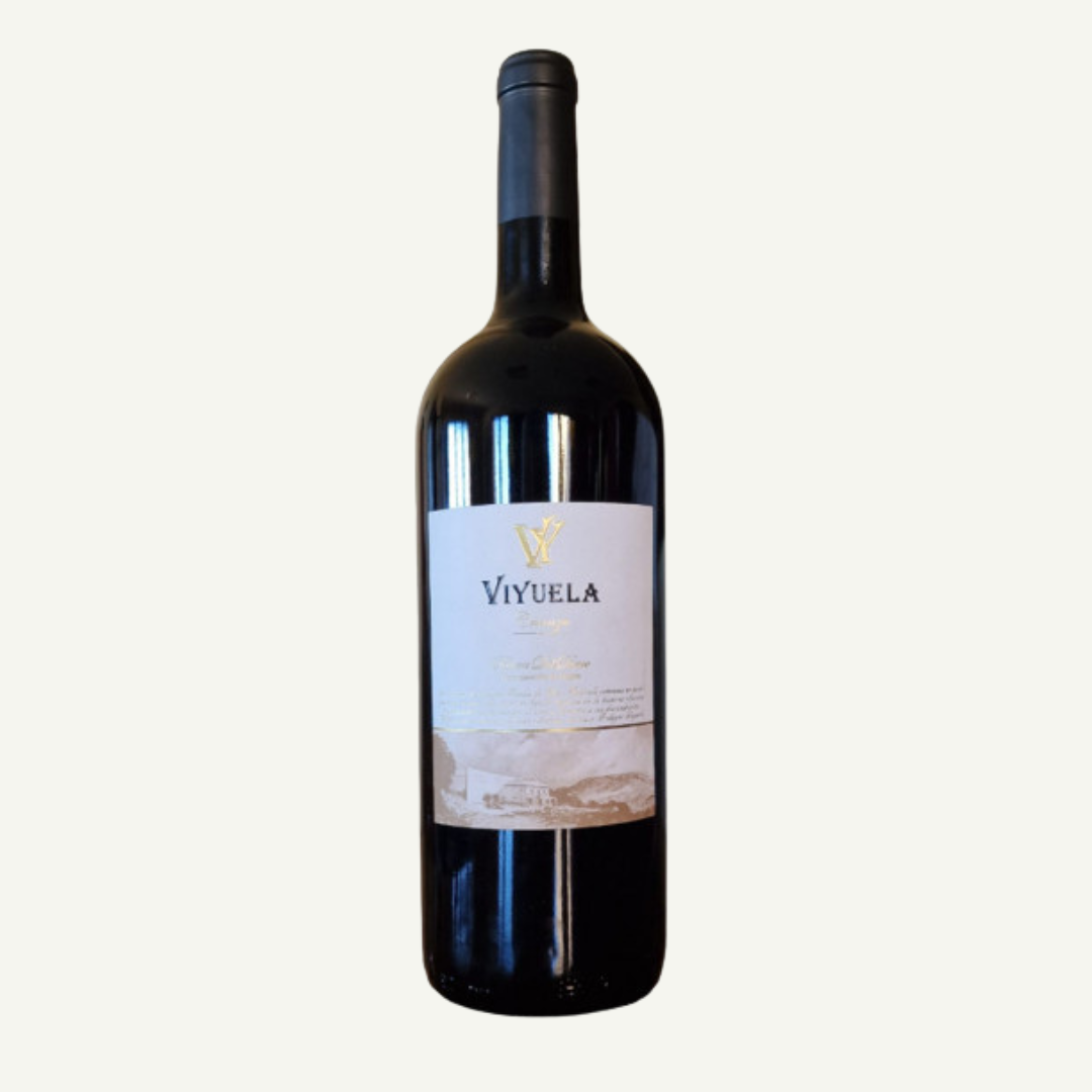 Viyuela, Crianza 2020, Magnum